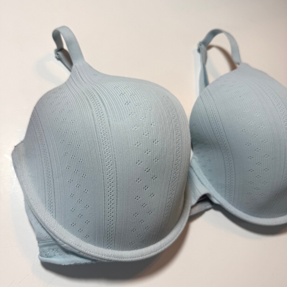 Victoria's Secret Bra Light Blue Pointelle Underwire Coquette Soft Girl 36C - Picture 2 of 10